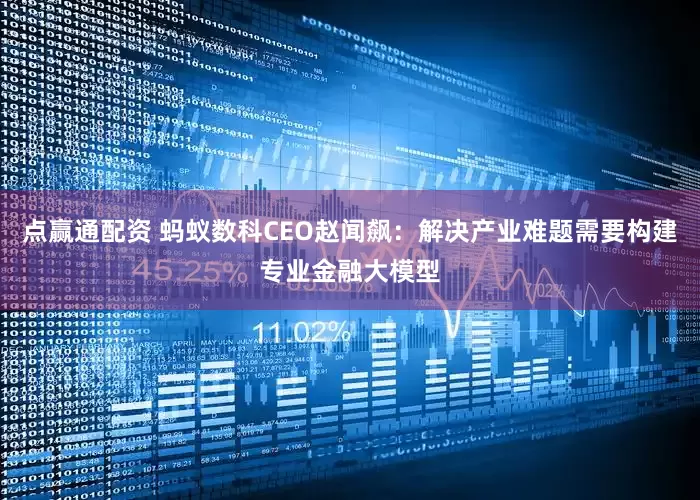 点赢通配资 蚂蚁数科CEO赵闻飙：解决产业难题需要构建专业金融大模型